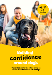 FREE PDF DOWNLOAD OF ANXIETY/FEAR OF DOGS: TIPS AND ADVICE FOR THE WHOLE FAMILY ON HOW TO BUILD CONFIDENCE AROUND DOGS